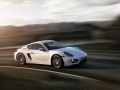 Porsche Cayman  (981c) - Technical Specs, Fuel consumption, Dimensions